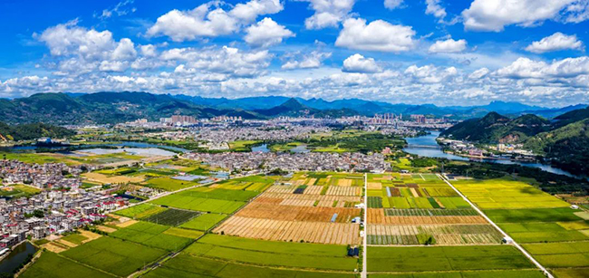 福建漳州发布激励村干部担当作为十条措施_fororder_LOCAL16975366977977MSE27AL6L