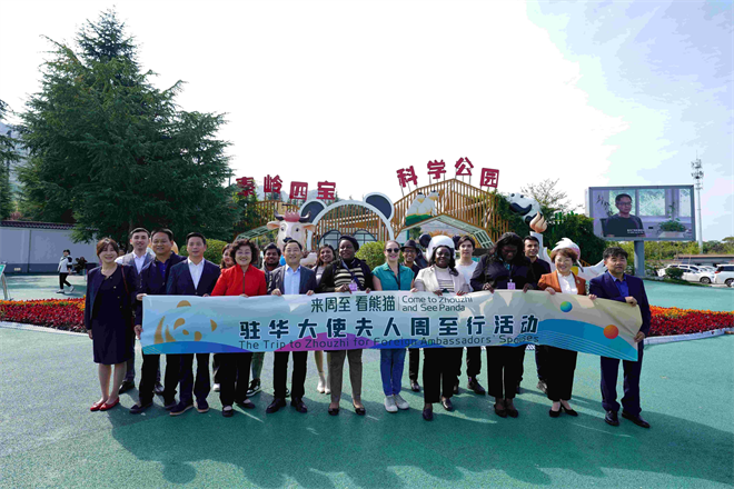 Les épouses des ambassadeurs étrangers en Chine à Zhouzhi : à la rencontre des « esprits de Qinling » et « rendez-vous avec les pandas »_fororder_图片1