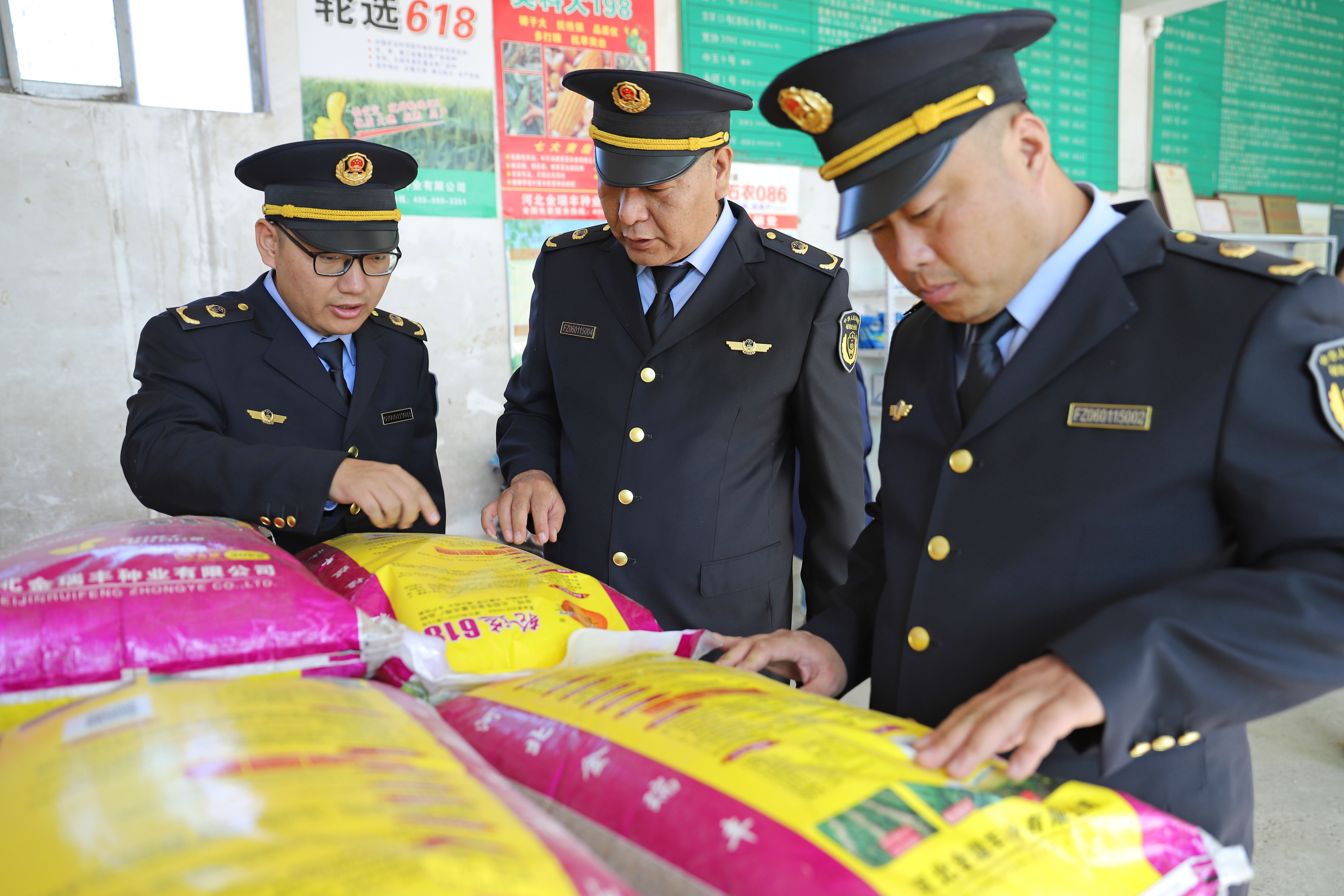 河北涿州：28.7万亩冬小麦播种10月中旬将迎高峰_fororder_涿州市农业综合行政执法大队执法人员到乡镇农资经营门店执法检查。摄影高长安