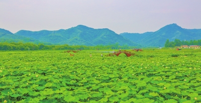 【中原名景-图片】【图说4】（页面标题：三山三丘三分田 半分水路半庄园）河南确山：三山三丘三分田 半分水路半庄园