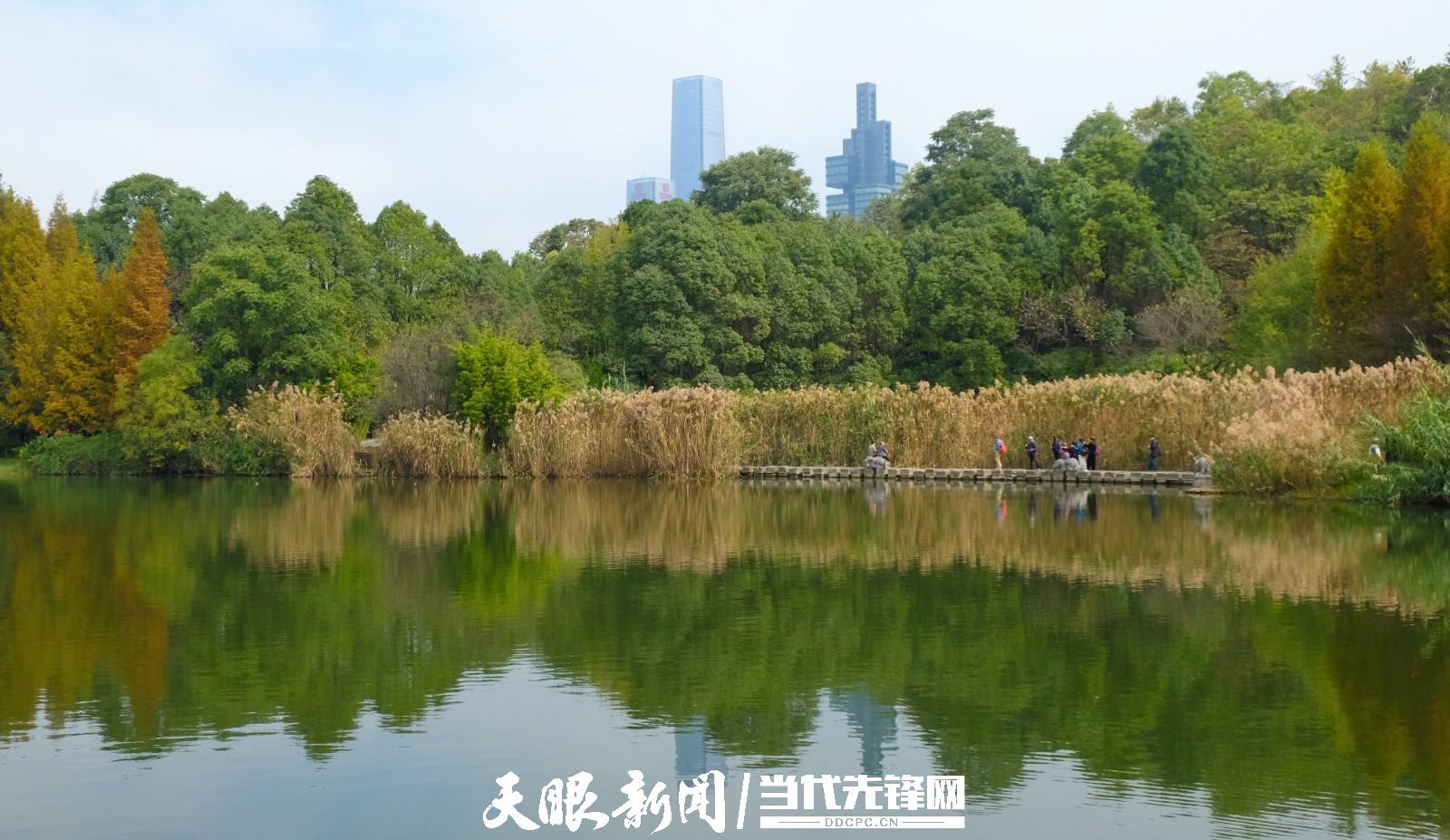贵阳：踏秋赏景正当时