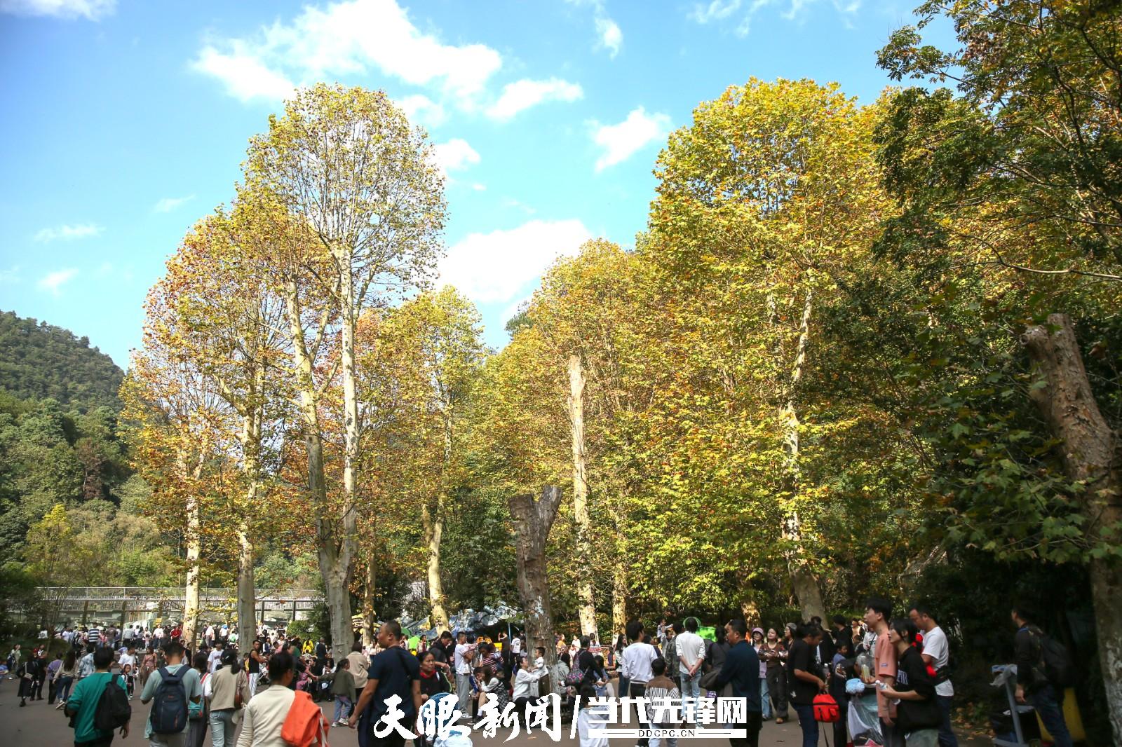 贵阳：踏秋赏景正当时