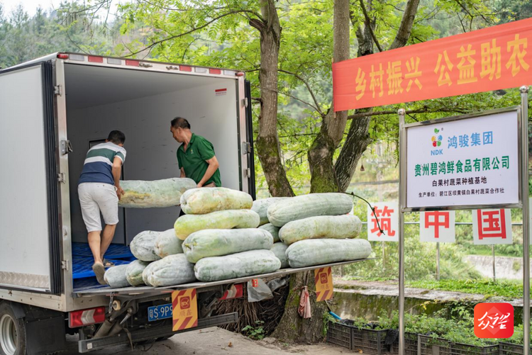我在贵州有个园||“南碧携手”共绘和美乡村新画卷