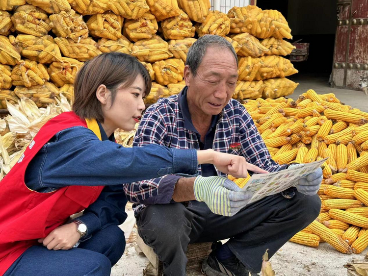 国网陕西电力：“电”靓秋收季 守好“三秦粮仓”_fororder_图片1
