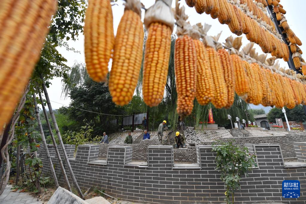 图片默认标题_fororder_2023101324a704dc2d3a472a9a4b8e4ebc918367_20231013c27042148b2146ee8887e1e0ba5d74f1