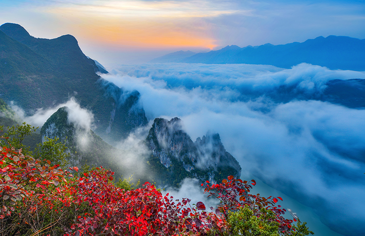 第十七届中国·重庆长江三峡（巫山）国际红叶节即将开幕_fororder_图片2