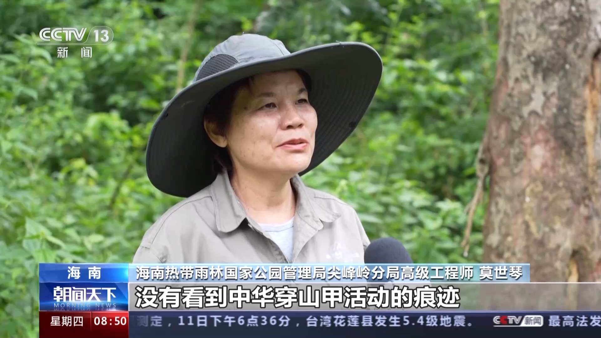 海南热带雨林国家公园：长臂猿种群数量稳步增长 中华穿山甲罕见亮相