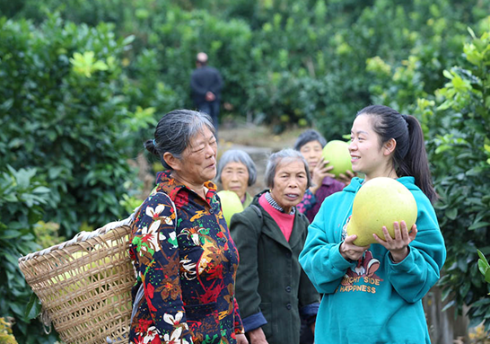 重庆巴南举行重马亲子系列活动及接龙蜜柚采摘活动_fororder_微信图片_20231113140330