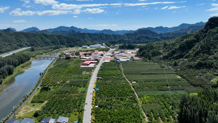 河北承德：特色产业激活乡村振兴“新动能”_fororder_图片1