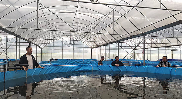 简阳这里的特色水产跃入振兴“龙门”_fororder_鸭嘴鱼-供图-简阳市融媒体中心