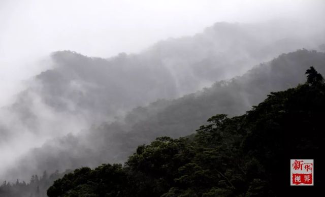 潮起海之南，魅力无限