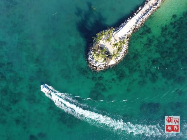 潮起海之南，魅力无限