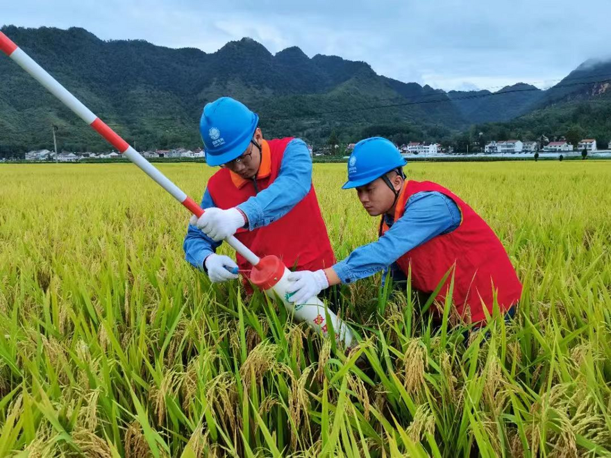State Grid Shaanxi Electric Power: Be a Good 'Power Guardian' for the Masses and Safeguard the 'Shaanxi Granary'_fororder_图片4