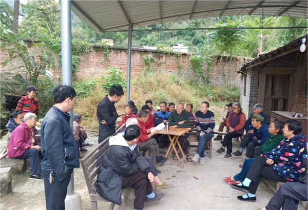 重庆大足万古镇人大：助推耕地“非粮化”整治 筑牢粮食安全“生命线”_fororder_图片1