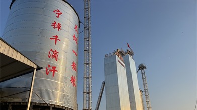 【解读中原粮仓的密码】周口商水：沃野千里地“生金” 新型农民出新彩