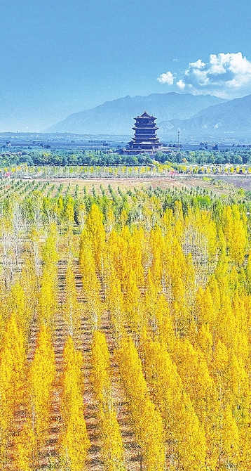 图片默认标题_fororder_8008a3a9bf4a90d6455097bc4e597870