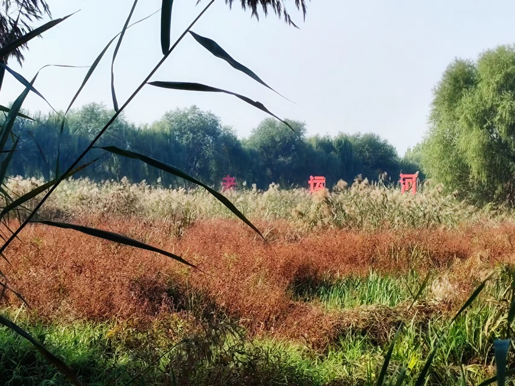 【原创】10月24日“大美湿地·润泽齐鲁”网络主题活动走进山东济宁_fororder_济宁1