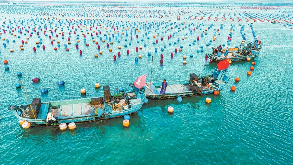 福建连江：向海图强 潮起松芦湾_fororder_微信截图_20231122093814