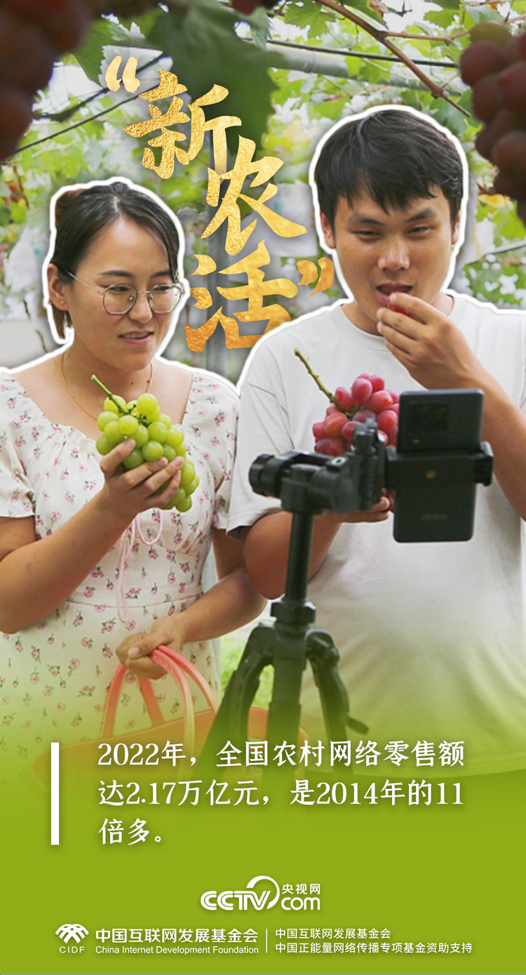 最美新农人｜一组数据，解码端稳“中国饭碗”的乡村振兴生力军