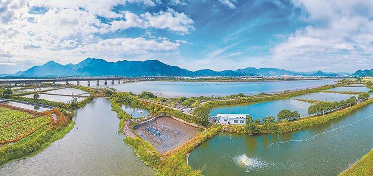 福建云霄：食品产业出圈之路_fororder_02bb2f14-7b3e-427a-bd74-08dc2665e372