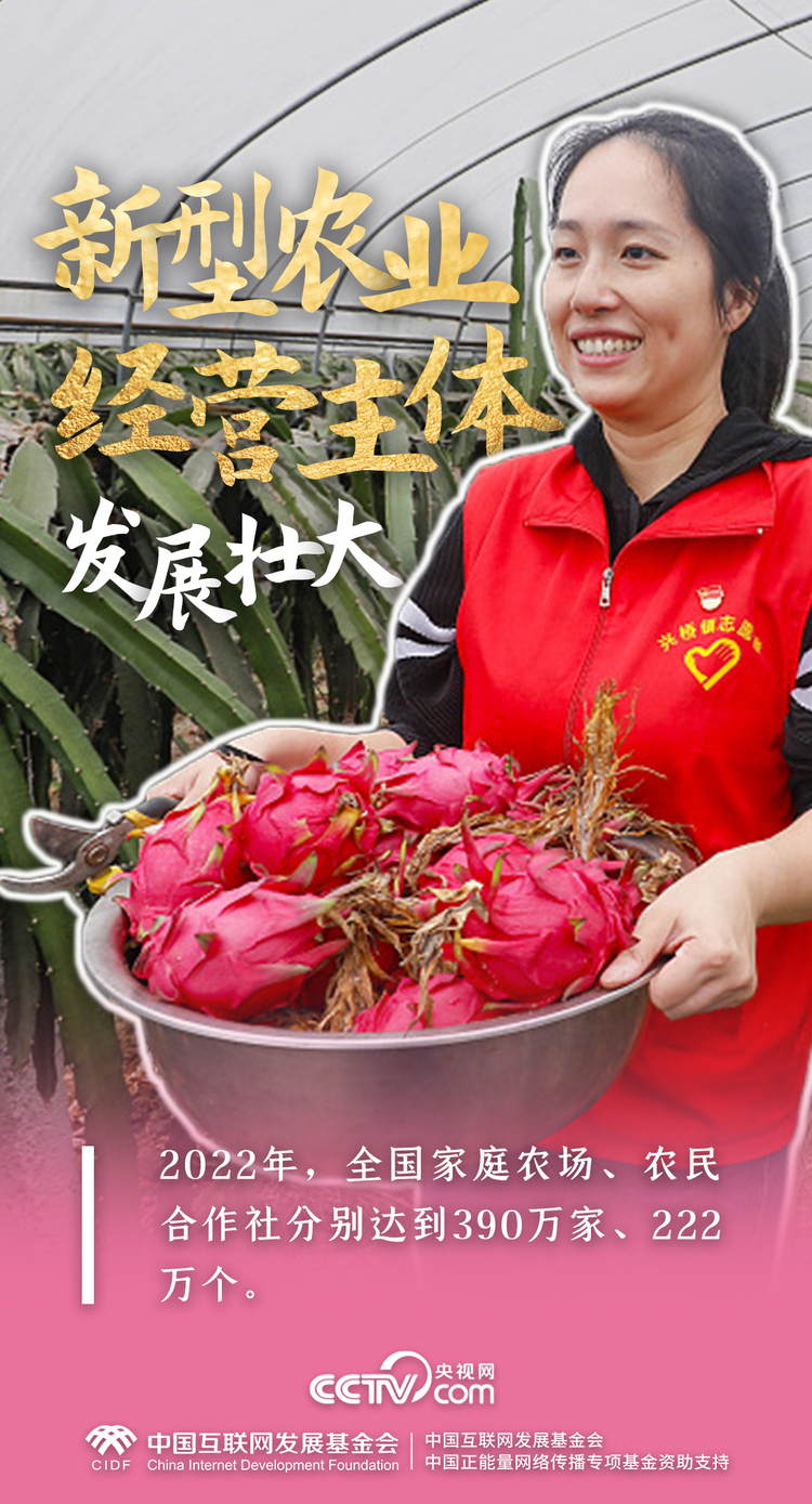最美新农人｜一组数据，解码端稳“中国饭碗”的乡村振兴生力军