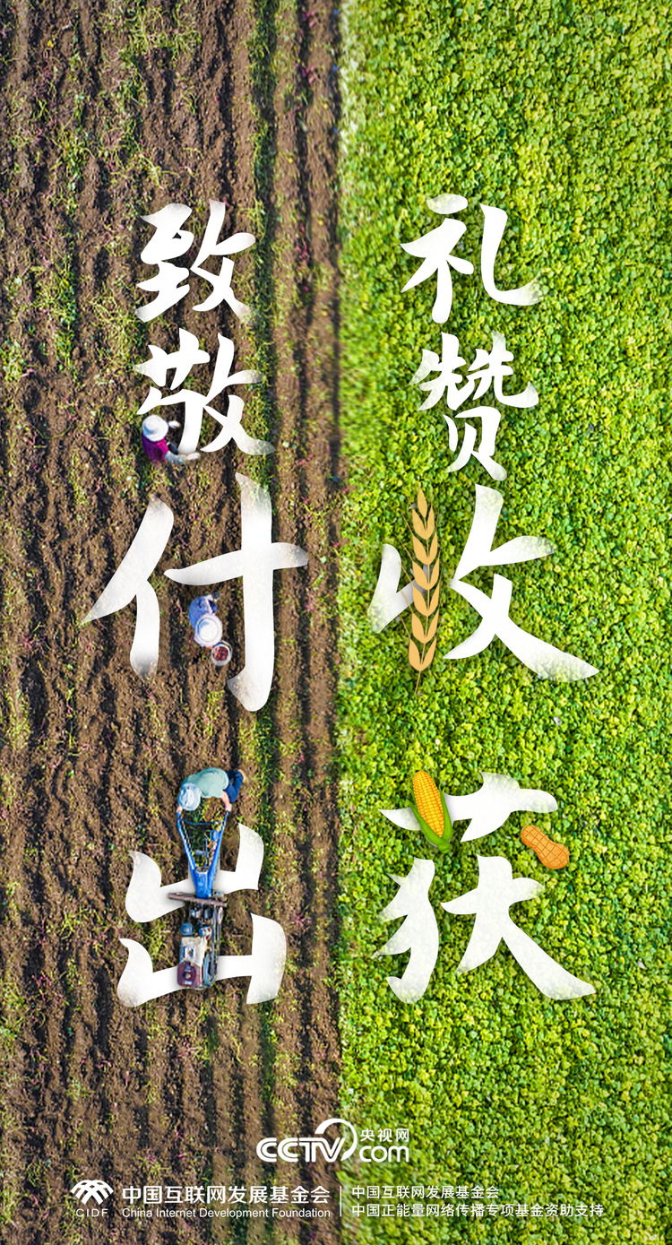最美新农人｜一组数据，解码端稳“中国饭碗”的乡村振兴生力军