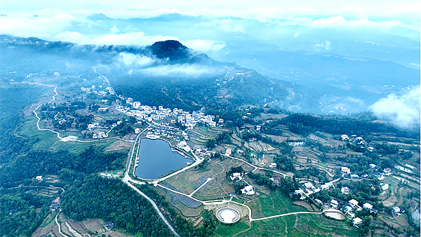 巴中市通江县：蓝莓基地秋管忙 乡村振兴产业旺_fororder_未标题-2