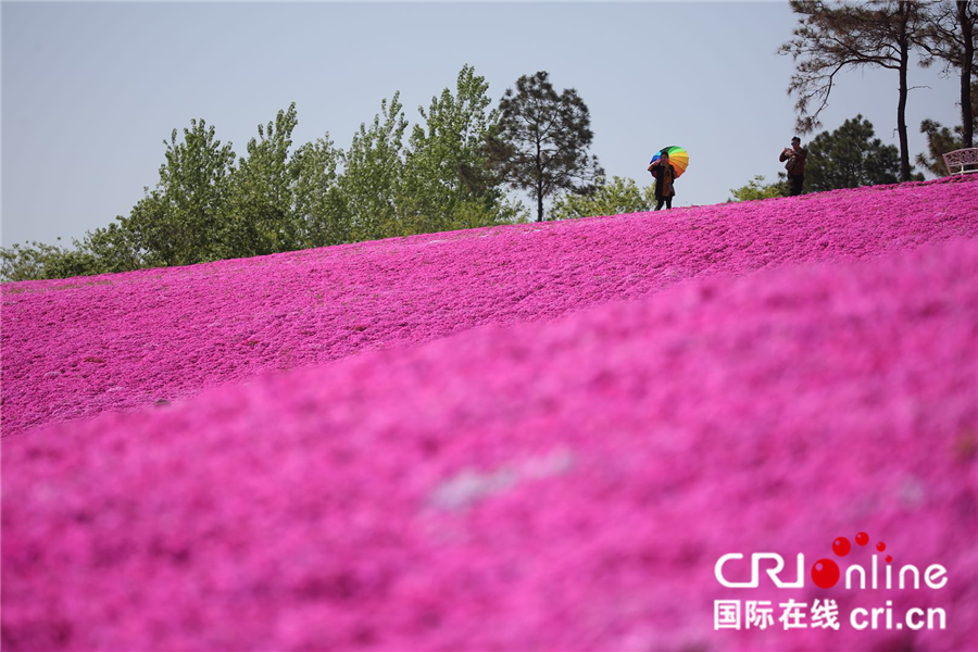 图片默认标题_fororder_041004