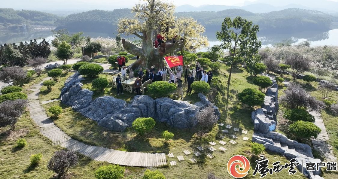 广西罗城：用农业生态“颜值”助力经济“产值”发展