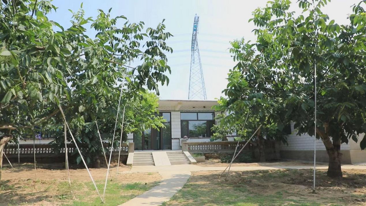 图片默认标题_fororder_东文山镇杜家庄村村民庭院内的环境