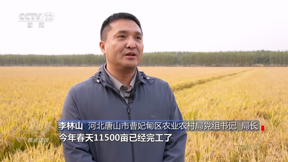 焦点访谈：盐碱地里稻谷香