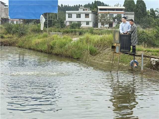 （转载）邮储银行仪陇县支行：创业贴息担保贷款助力乡村振兴