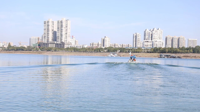 湖南沅水鼎城段首次监测到濒危物种——鳤鱼