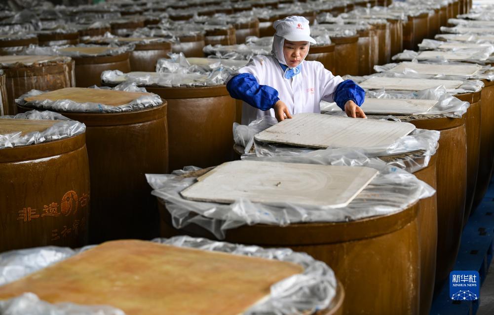 综述：重庆企业组团出海加强与墨西哥经贸往来
