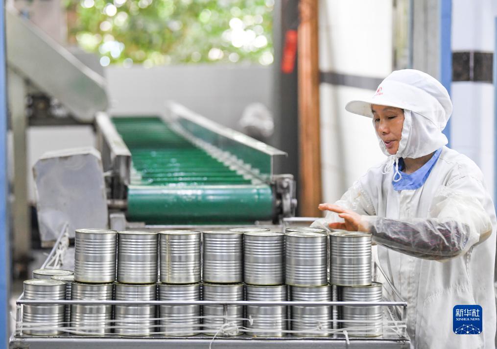 综述：重庆企业组团出海加强与墨西哥经贸往来