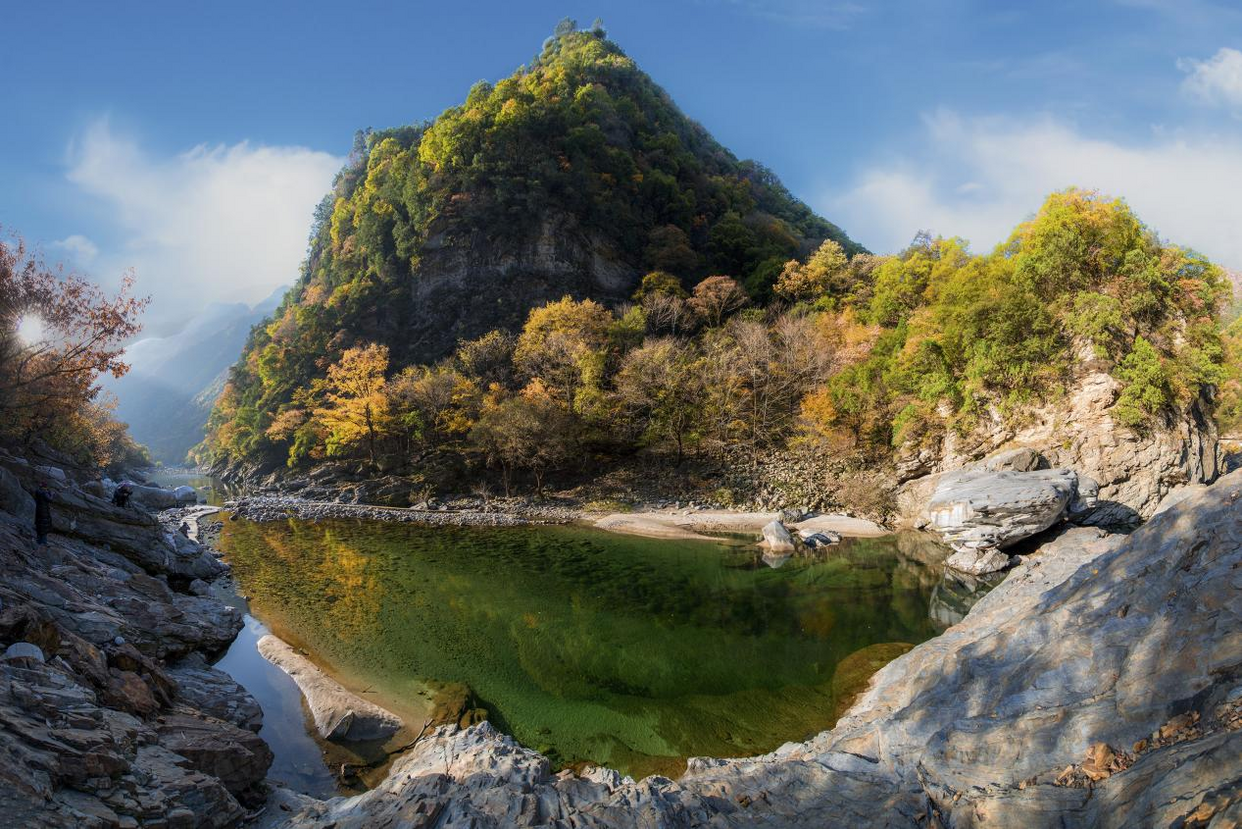 Conférence sur la promotion des ressources culturelles et touristiques de Zhouzhi - « Voir les pandas à Zhouzhi » a eu lieu_fororder_图片12