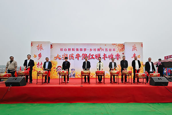欢声笑语庆丰收 自贡大安区牛佛红旗丰收季活动举行_fororder_活动现场（摄影-赵丽）