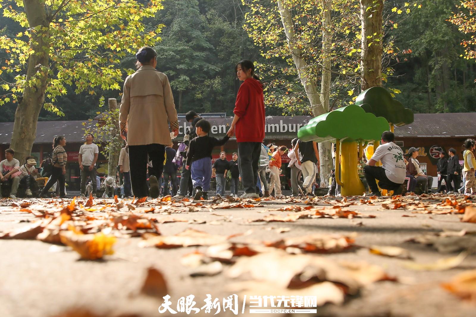 贵阳：踏秋赏景正当时