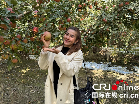 新疆乡村什么样？外国记者带你看_fororder_dcf95f977d644585abe3812d4d2bee05
