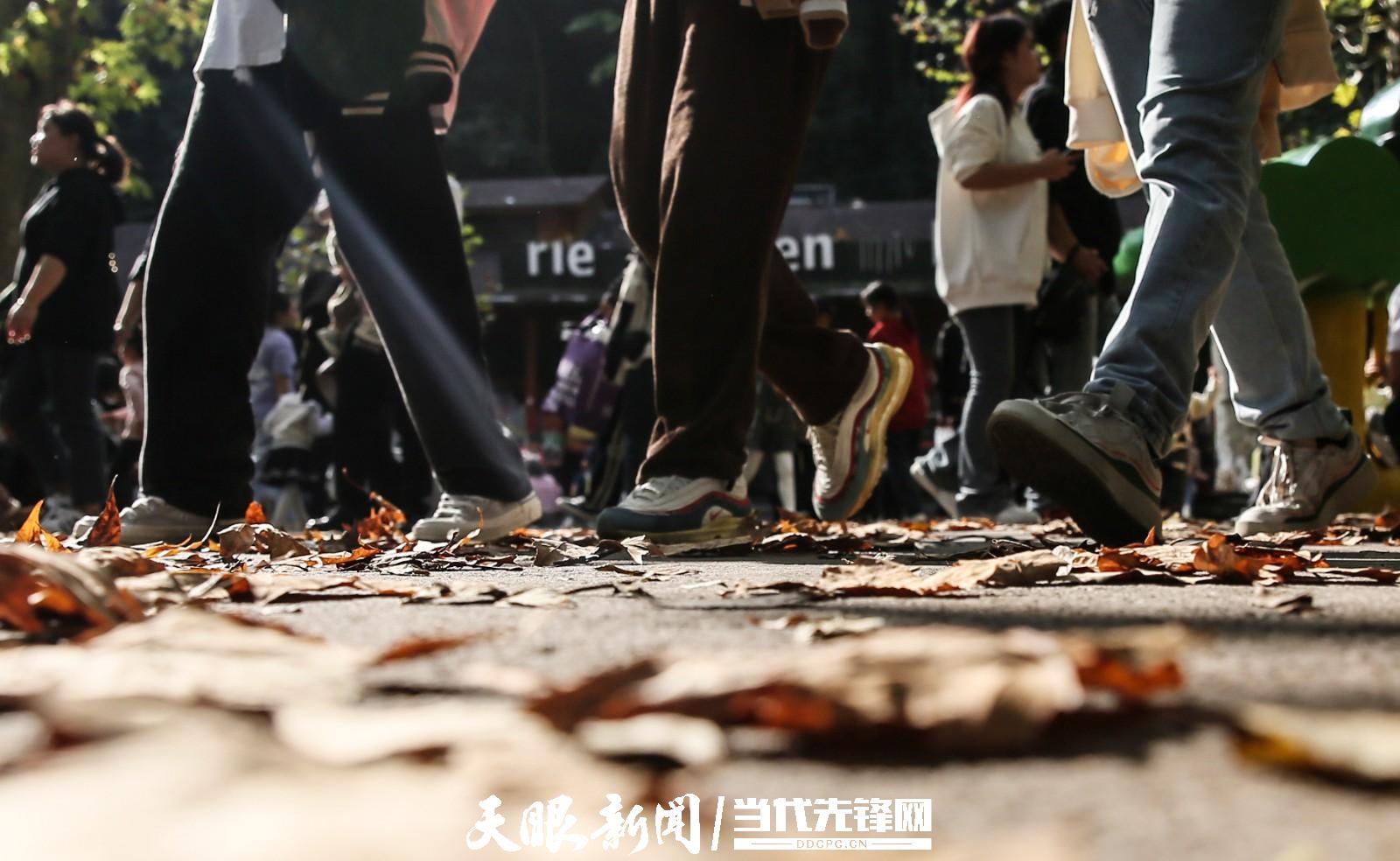 贵阳：踏秋赏景正当时