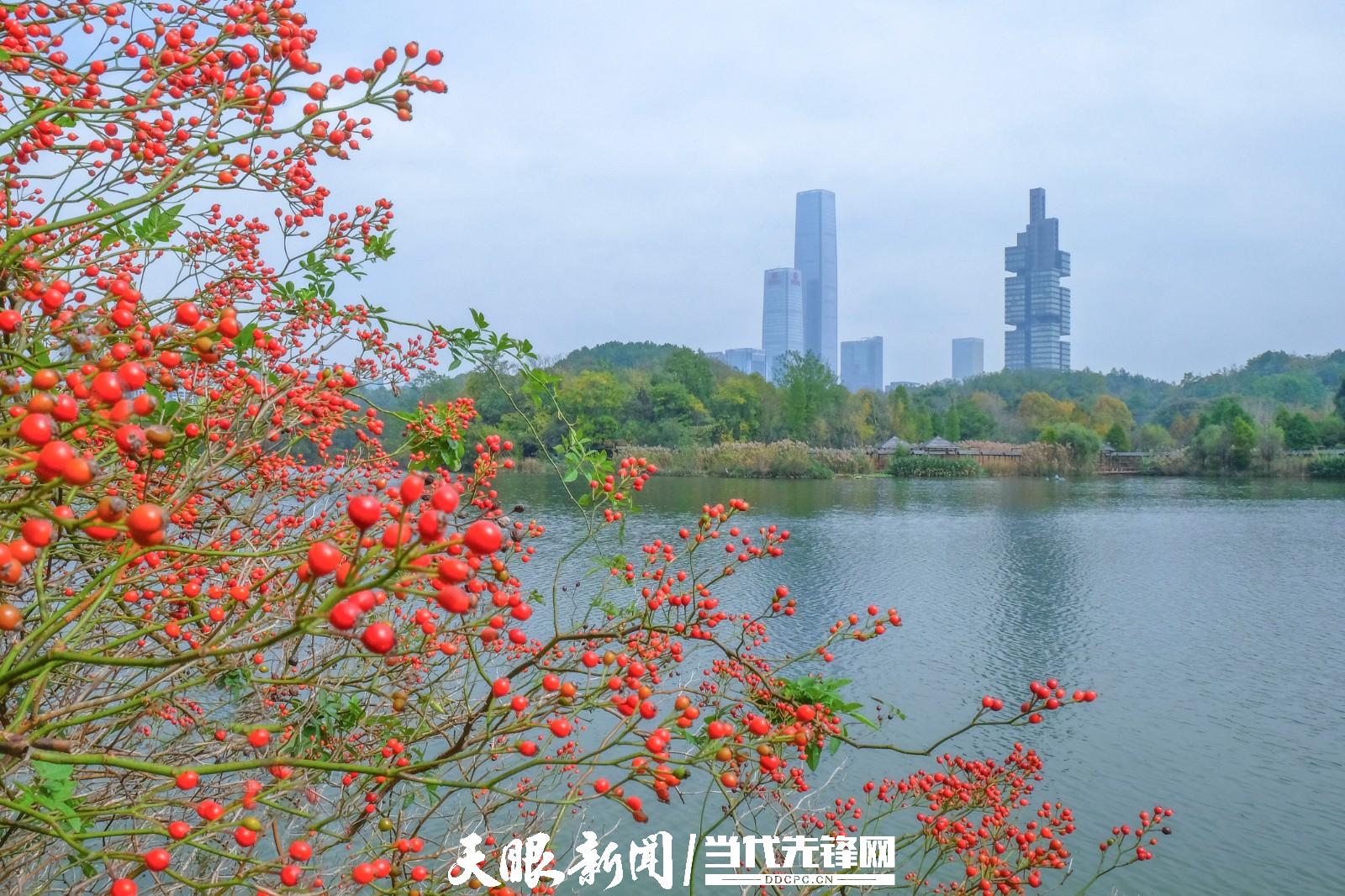 贵阳：踏秋赏景正当时