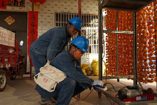 国网陕西电力：用心当好“电力先行官”_fororder_图片15