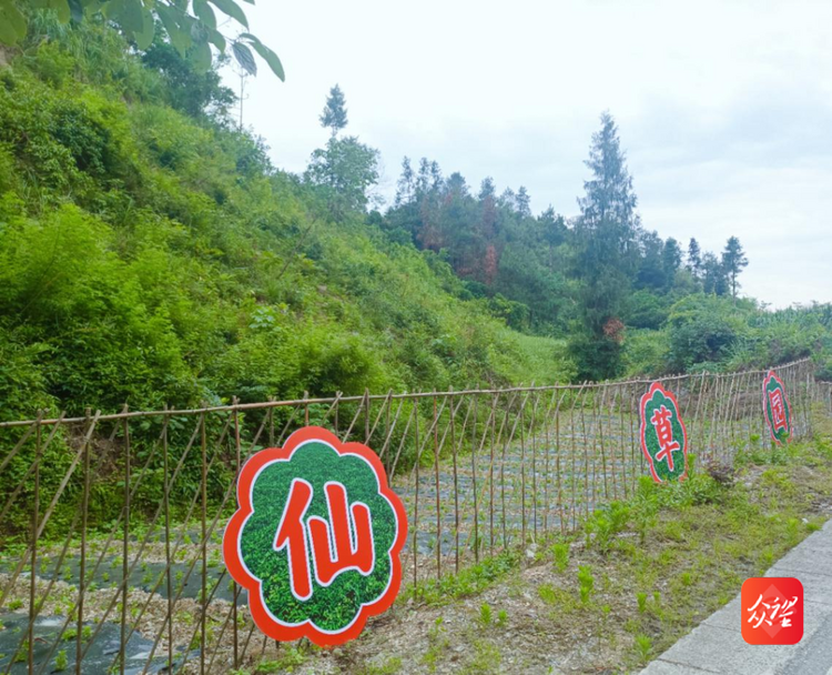 我在贵州有个园||“南碧携手”共绘和美乡村新画卷