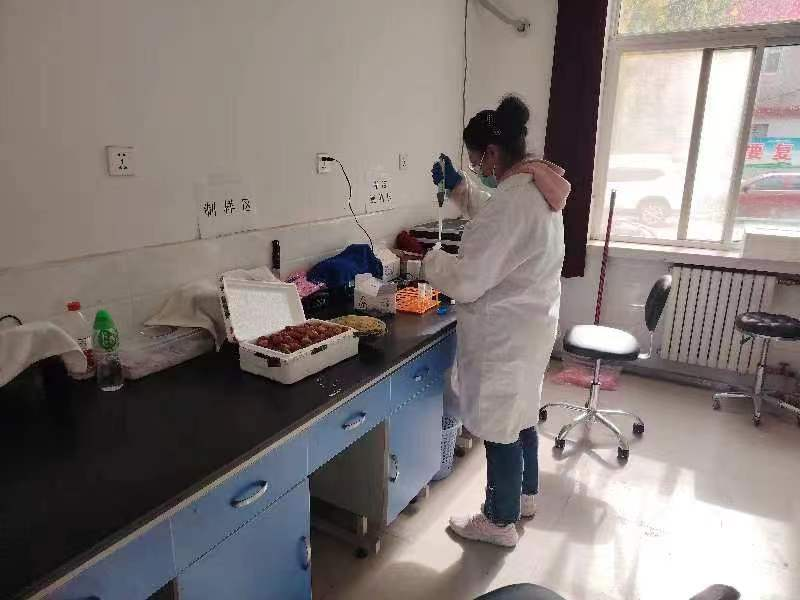 河北海兴：科技助农为农民送去“科技餐”_fororder_图片5