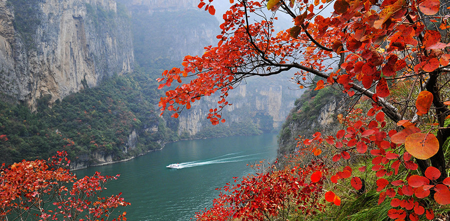第十七届中国·重庆长江三峡（巫山）国际红叶节即将开幕_fororder_图片1