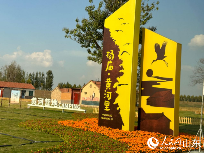 在黄河入海口，聆听生态保护和高质量发展足音