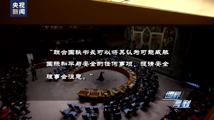 世界周刊丨“墙角”下的加沙