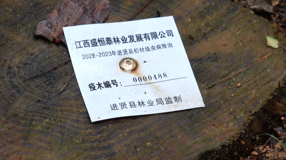 松材线虫病防控_fororder_微信截图_20231211102353