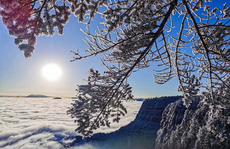 眉山洪雅：瓦屋初雪 如诗如画_fororder_雪后初晴-供图-洪雅县委宣传部[1]