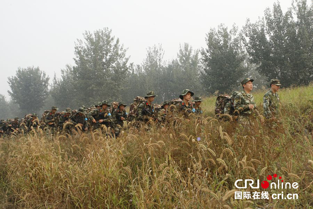 图片默认标题